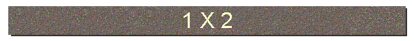 1 X 2